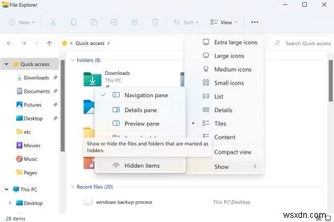 Windows 11에서 숨겨진 파일 및 폴더를 표시하는 방법 