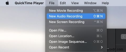 내장 앱을 사용하여 Mac에 오디오를 빠르게 녹음하는 방법 