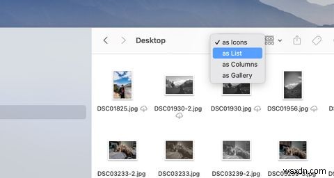 Mac에서 여러 파일을 선택하는 방법 