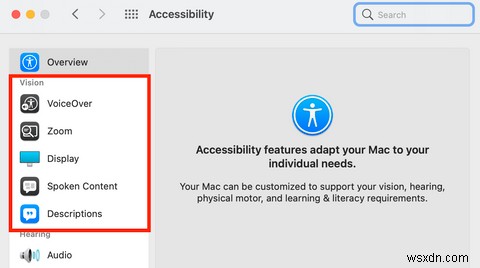 시각 장애가 있는 사람들을 위한 5가지 Mac 손쉬운 사용 팁 