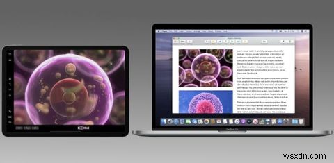 사이드카로 iPad를 두 번째 Mac 모니터로 사용하는 방법 