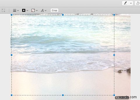 미리보기 앱을 사용하여 Mac에서 사진을 편집하는 방법 