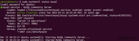 Ubuntu에서 MySQL을 설치 및 구성하는 방법 