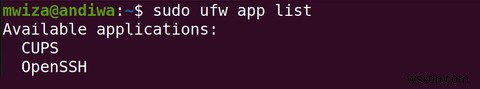 UFW를 사용하여 Ubuntu에서 방화벽을 구성하는 방법 