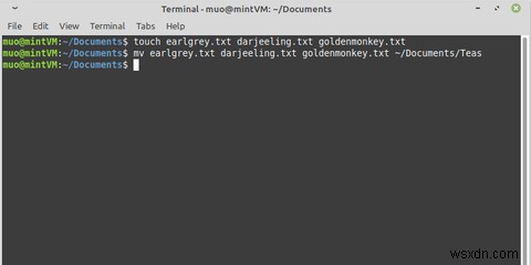 Mv 명령으로 Linux 파일을 이동하는 방법 