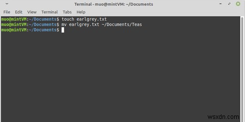 Mv 명령으로 Linux 파일을 이동하는 방법 