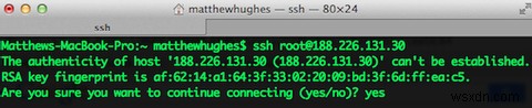 SSH 전용 웹 호스팅에 가입하셨습니까? 걱정 마세요 - 모든 웹 소프트웨어를 쉽게 설치 