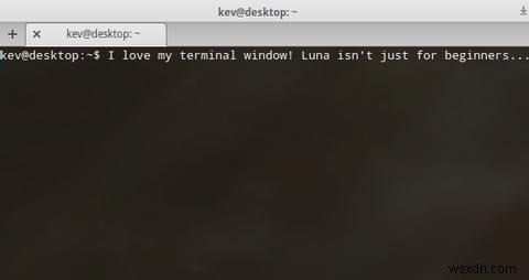 아름답고 사용하기 쉬운 Linux 배포판을 찾고 계십니까? 초등 OS Luna를 사용해보십시오 
