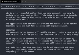 Vimtutor를 사용하여 Linux에서 Vim 텍스트 편집기 마스터하기 
