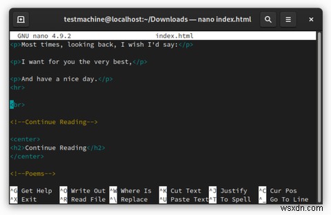 nano 대 Vim:최고의 터미널 텍스트 편집기 비교 