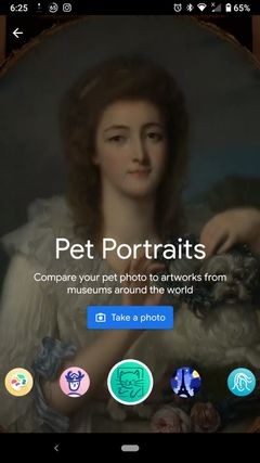 Google의 Arts &Culture 앱으로 유명한 예술 작품에서 반려동물 찾기
