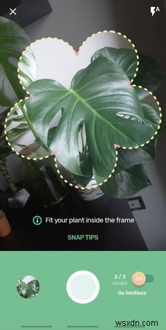 식물 관리를 위한 최고의 Android 앱 5가지