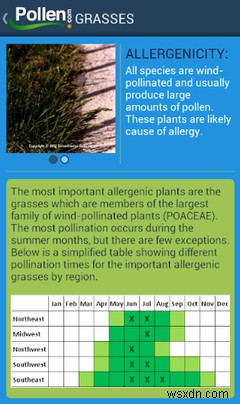 봄철 알레르기를 예방하는 데 도움이 되는 7가지 유용한 알레르기 앱