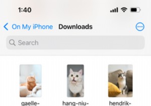 MKV 동영상을 변환하지 않고 iPhone 또는 iPad에서 재생하는 방법