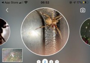 벌레 및 곤충 식별을 위한 iPhone의 상위 5개 앱