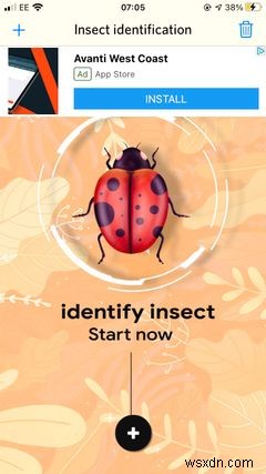 벌레 및 곤충 식별을 위한 iPhone의 상위 5개 앱