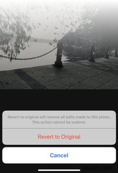 iPhone 사진에 필터를 쉽게 추가하는 방법
