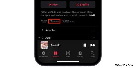 Apple Music에서 무손실 오디오를 듣는 방법