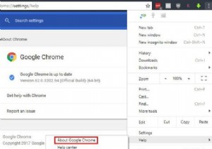 필수 Google 크롬 FAQ 