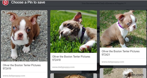 지금 시도해야 할 8가지 멋진 Pinterest 확장 프로그램