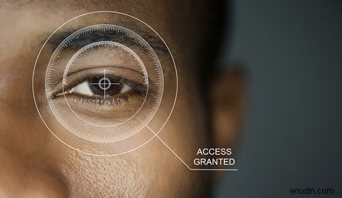 Retina/홍채 스캐너는 차세대 모바일 보안입니까?