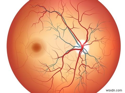 Retina/홍채 스캐너는 차세대 모바일 보안입니까?