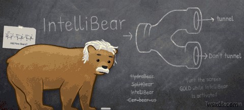 Tunnelbears Intellibear로 VPN 터널 필터링 