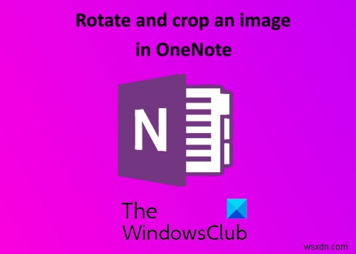 Microsoft OneNote에서 그림을 회전하고 자르는 방법 