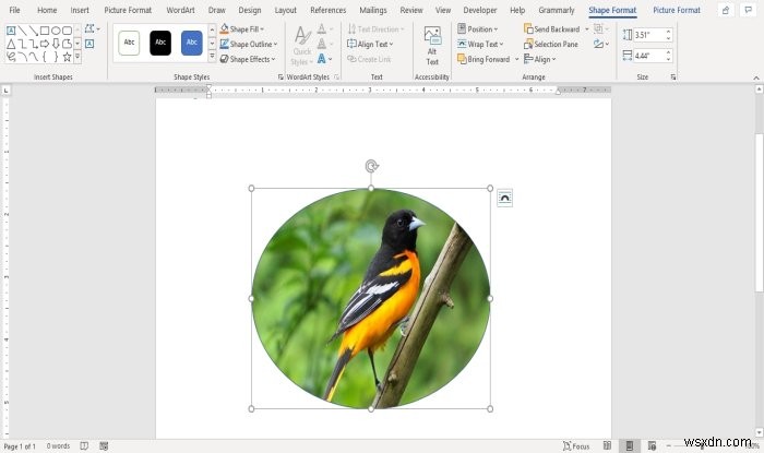 Microsoft Word에서 도형에 그림을 삽입하는 방법 