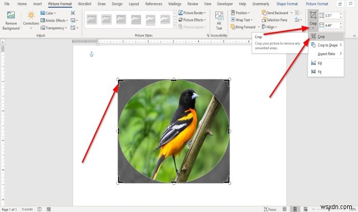Microsoft Word에서 도형에 그림을 삽입하는 방법 