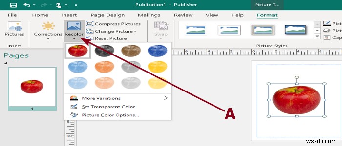 Microsoft Publisher에서 이미지 또는 그림 추가, 이동 및 수정 