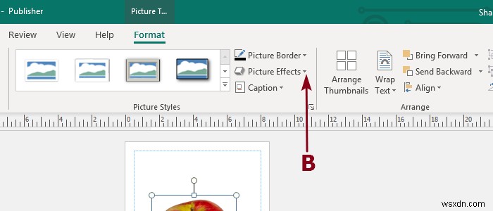 Microsoft Publisher에서 이미지 또는 그림 추가, 이동 및 수정 