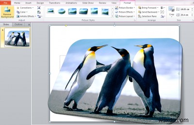 Microsoft PowerPoint를 사용하여 이미지의 배경을 제거하는 방법 