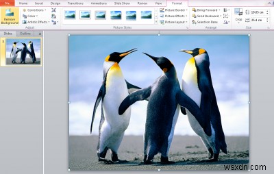 Microsoft PowerPoint를 사용하여 이미지의 배경을 제거하는 방법 