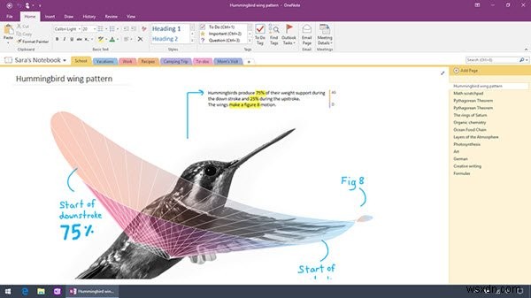 Windows 10용 OneNote와 OneNote의 차이점 