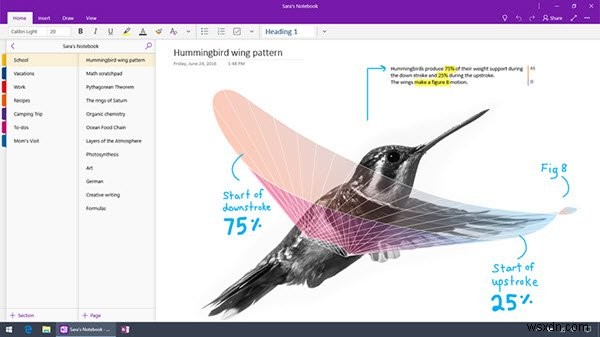 Windows 10용 OneNote와 OneNote의 차이점 