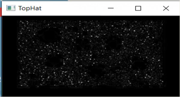 OpenCV를 사용하여 이미지에 흰색 TopHat 작업 수행 