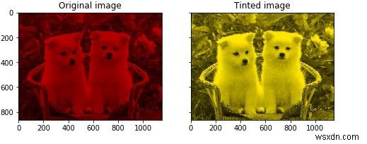 Python의 scikit-learn에서 회색조 이미지에 특정 색조를 어떻게 추가할 수 있습니까? 