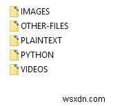 Python의 정크 파일 구성 도우미? 