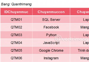 SQL Server의 AVG 함수 