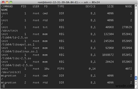 Linux에서 열린 파일, 소켓 및 파이프 목록을 가져오는 방법