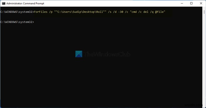 Windows 11/10에서 X일이 지난 파일을 삭제하는 방법 