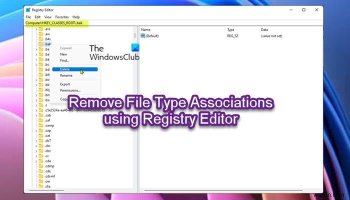 Windows 11/10에서 레지스트리 편집기를 사용하여 파일 형식 연결을 제거하는 방법 