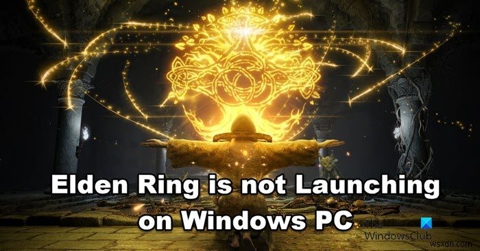 Elden Ring이 Windows PC에서 실행되지 않음 