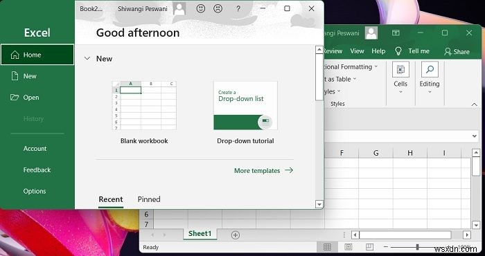 별도의 창에서 두 개의 Excel 파일을 여는 방법 