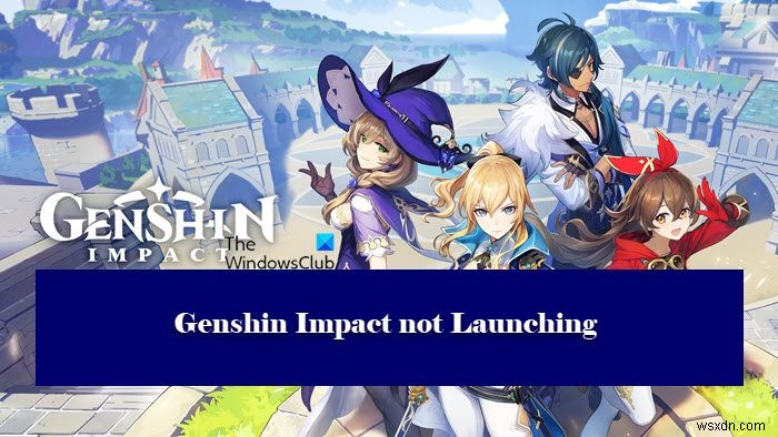 Genshin Impact가 Windows 11에서 실행되지 않음 