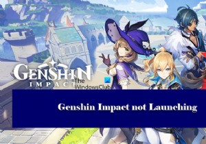 Genshin Impact가 Windows 11에서 실행되지 않음 