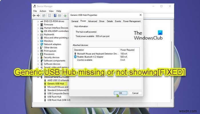 Windows 11/10에서 일반 USB 허브가 없거나 표시되지 않는 문제 수정 