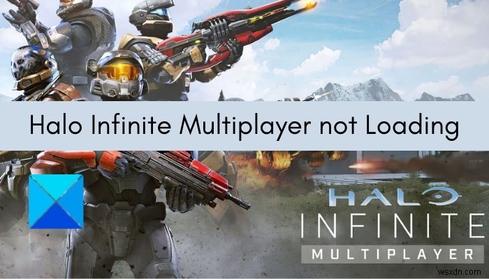 Halo Infinite Multiplayer가 Windows PC에서 로드되지 않음 