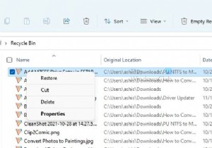 Windows 11/10에서 파일 및 폴더가 갑자기 사라졌습니다. 